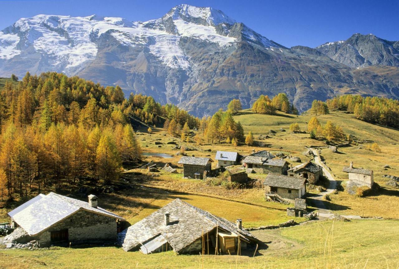 Arpege Des Neiges Lejlighed Sainte-Foy-Tarentaise Eksteriør billede